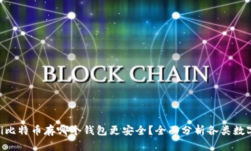 riaoti比特币存哪个钱包更安全？全面分析各类数字钱包